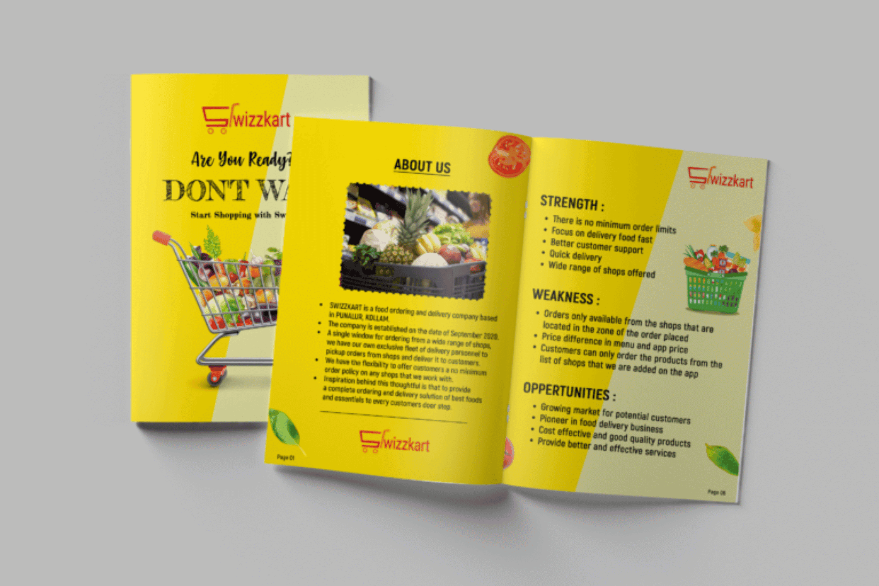 Wizzkart Brochure Design